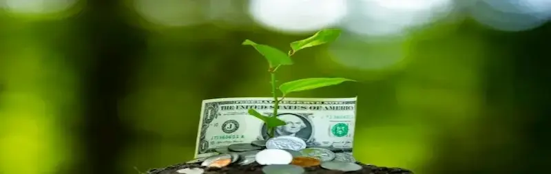 Recoge los frutos de tu trabajo