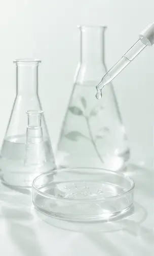 retinol retinal
